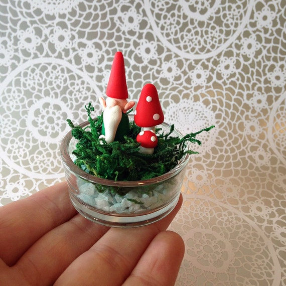 Items similar to DIY Mini Garden Kit Gnomes Mini garden, gnome