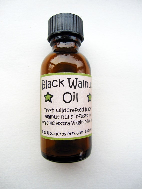 Black Walnut Hull Herbal Infused Oil Juglans nigra Wildcrafted and