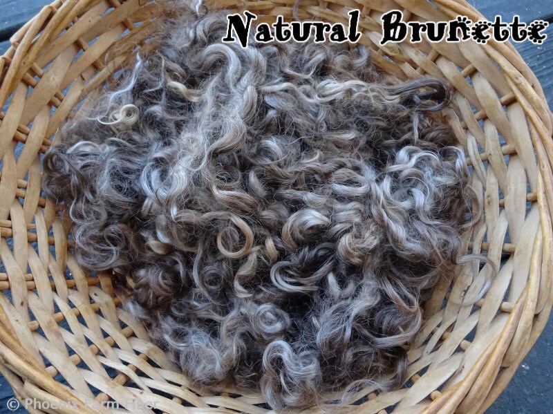 2 oz Washed Mohair Locks Natural Deep