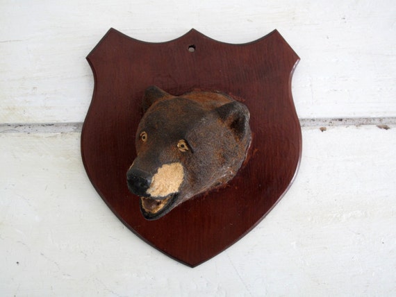 mounted bear head for sale