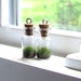 2 Terrarium Pendants, MossTerrarium Pendants, Living Plant Pendant, Plant Necklace, Terrarium Jewelry