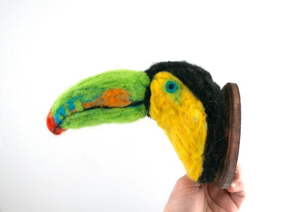 Wool Keel-Billed Toucan (Ramphastos sulfuratus)