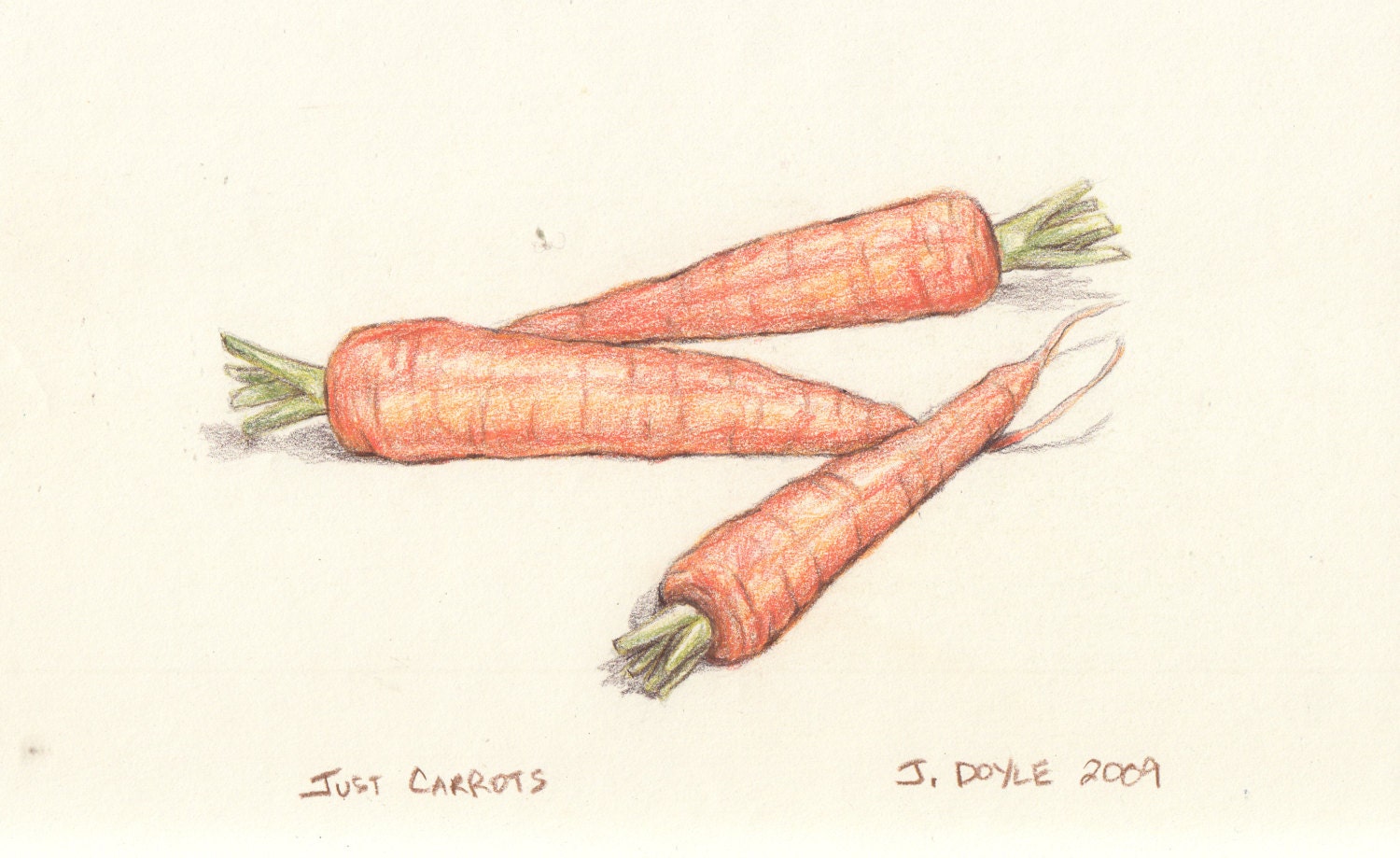 Just Carrots Original Colored Pencil Drawing by ImaginationFarm