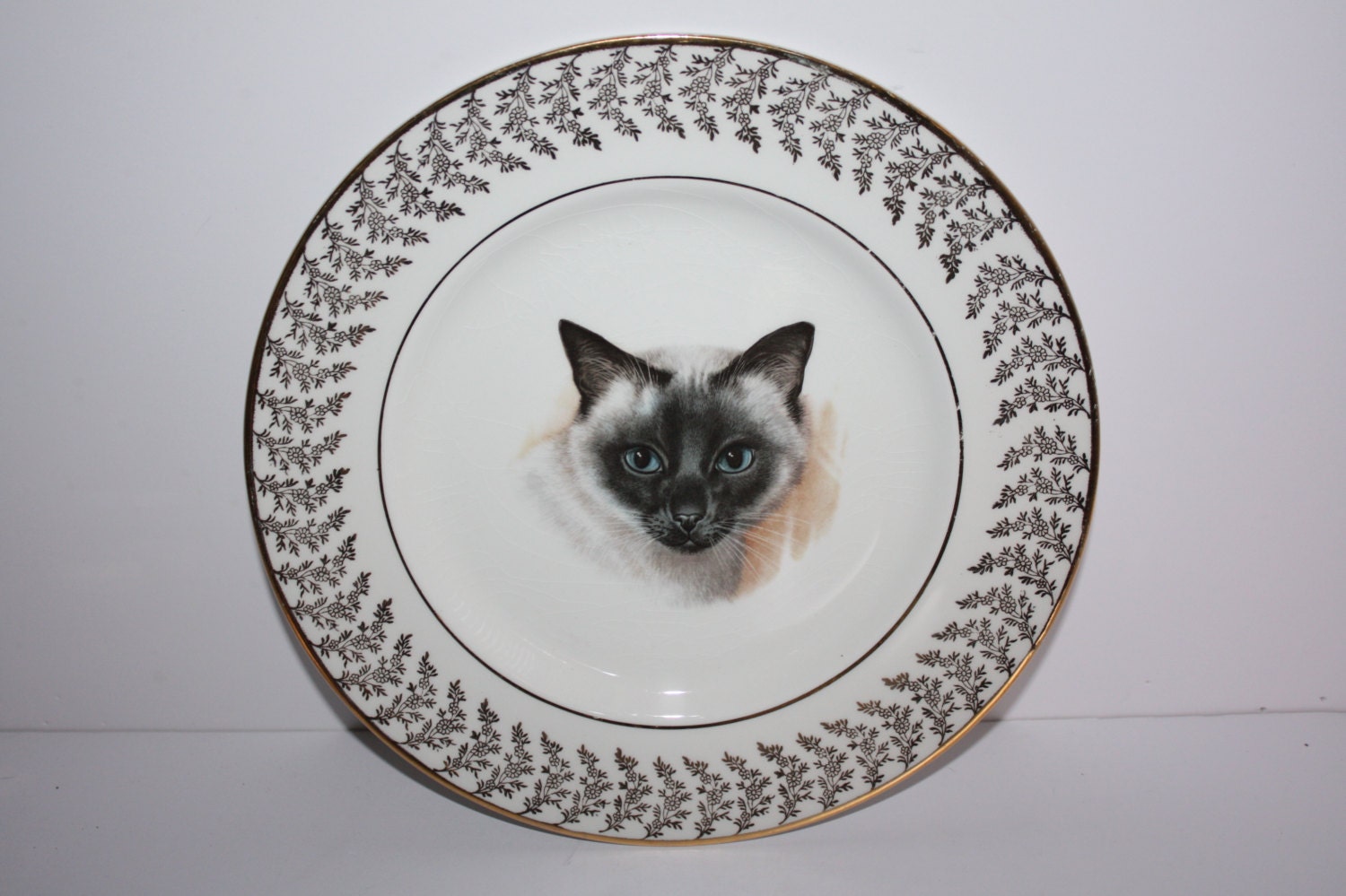 Vintage Hemingway House Cats Plate Liverpool Rd Pottery England 9