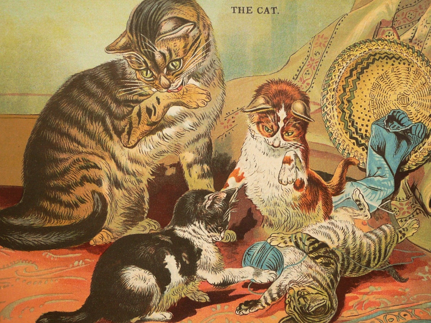 1890 Antique fine lithograph of CATS. KITTENS. Cat. Kitten.