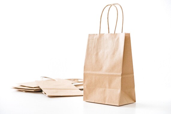 25 Small Brown Kraft Paper Bags with Handles