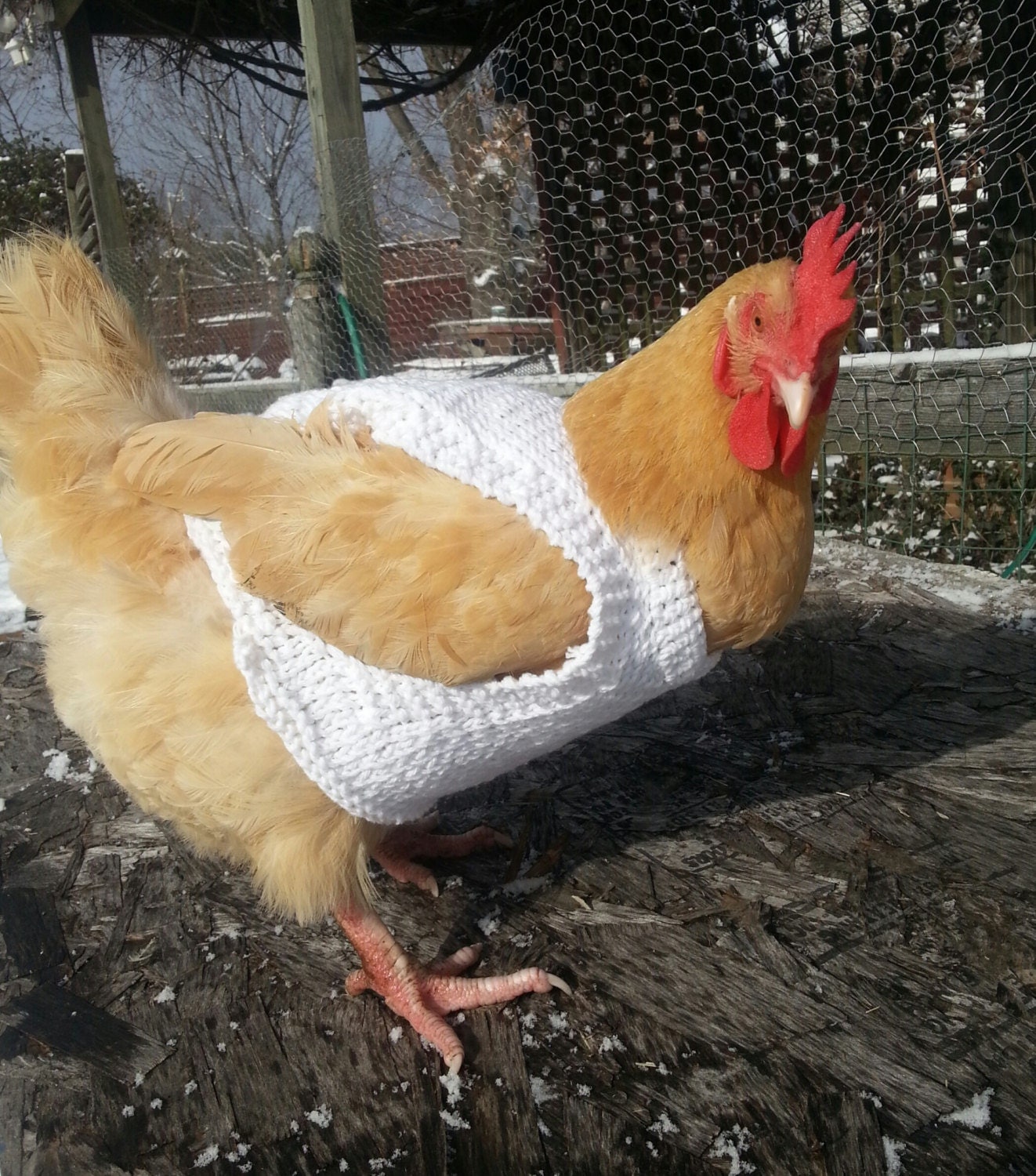 Knit Cotton Chicken Sweaters Handmade