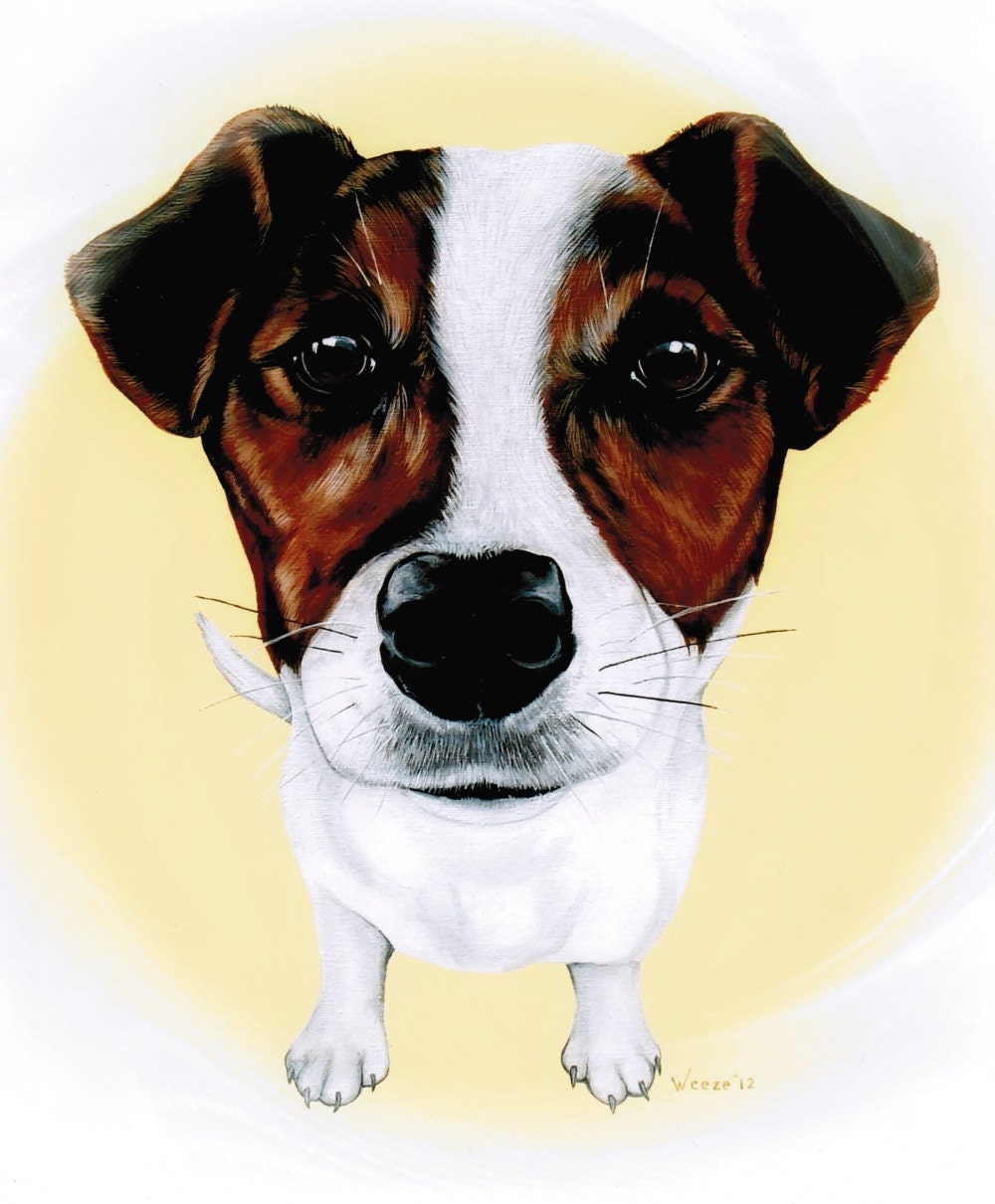 Jack Russell Terrier Jack Russell Jack Russell Art by ArtbyWeeze