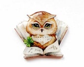 Free shipping owl brooch pin owl jewelry animal jewelry Owl and book , Animal brooch clay owl, gifts under 25 (0014)