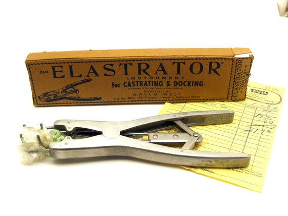 il_570xN.763895521_enos.jpg