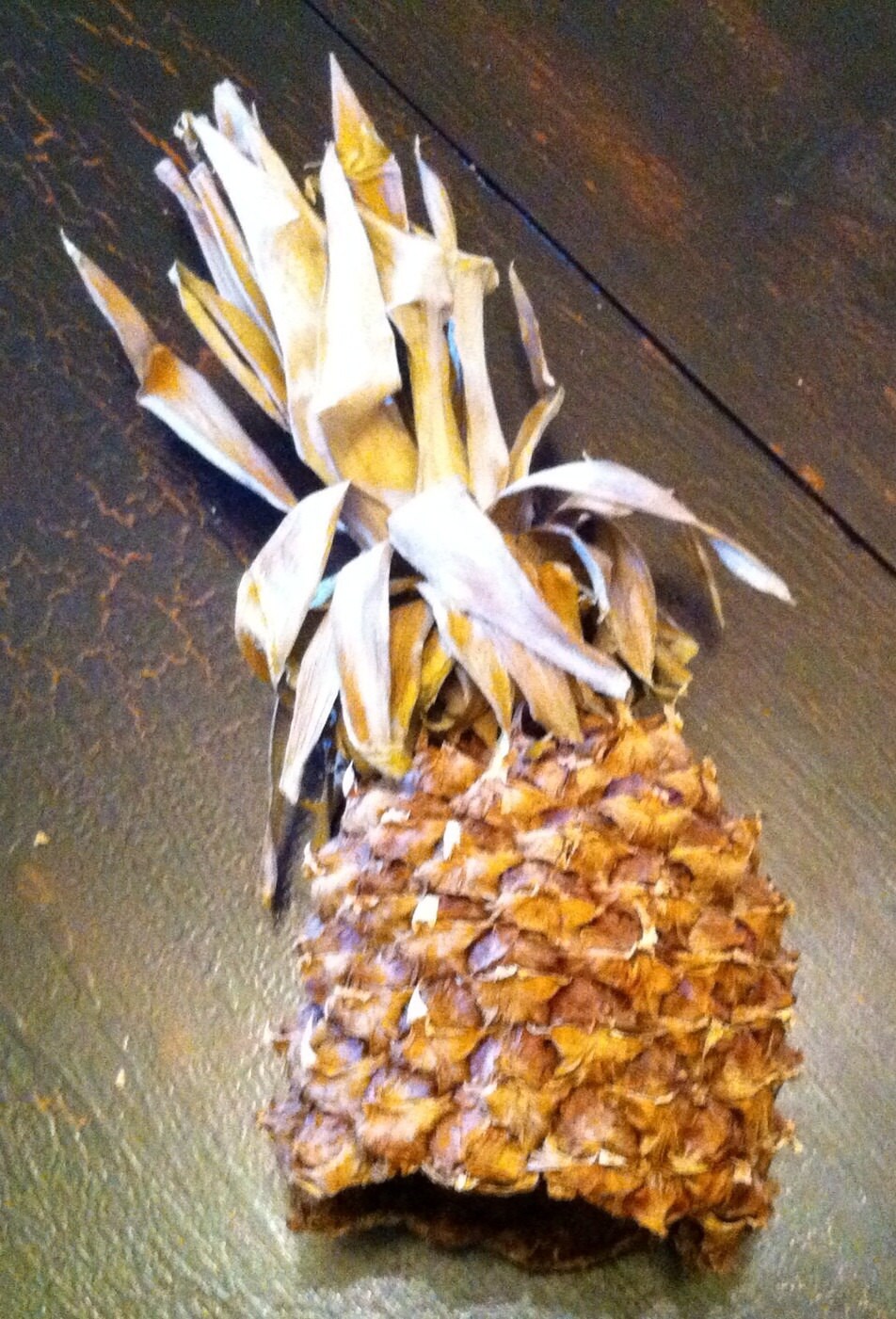 Primitive Dried Whole Pineapple