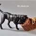 BJD cat