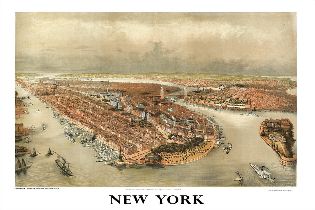 City Center Optical Brooklyn Ny