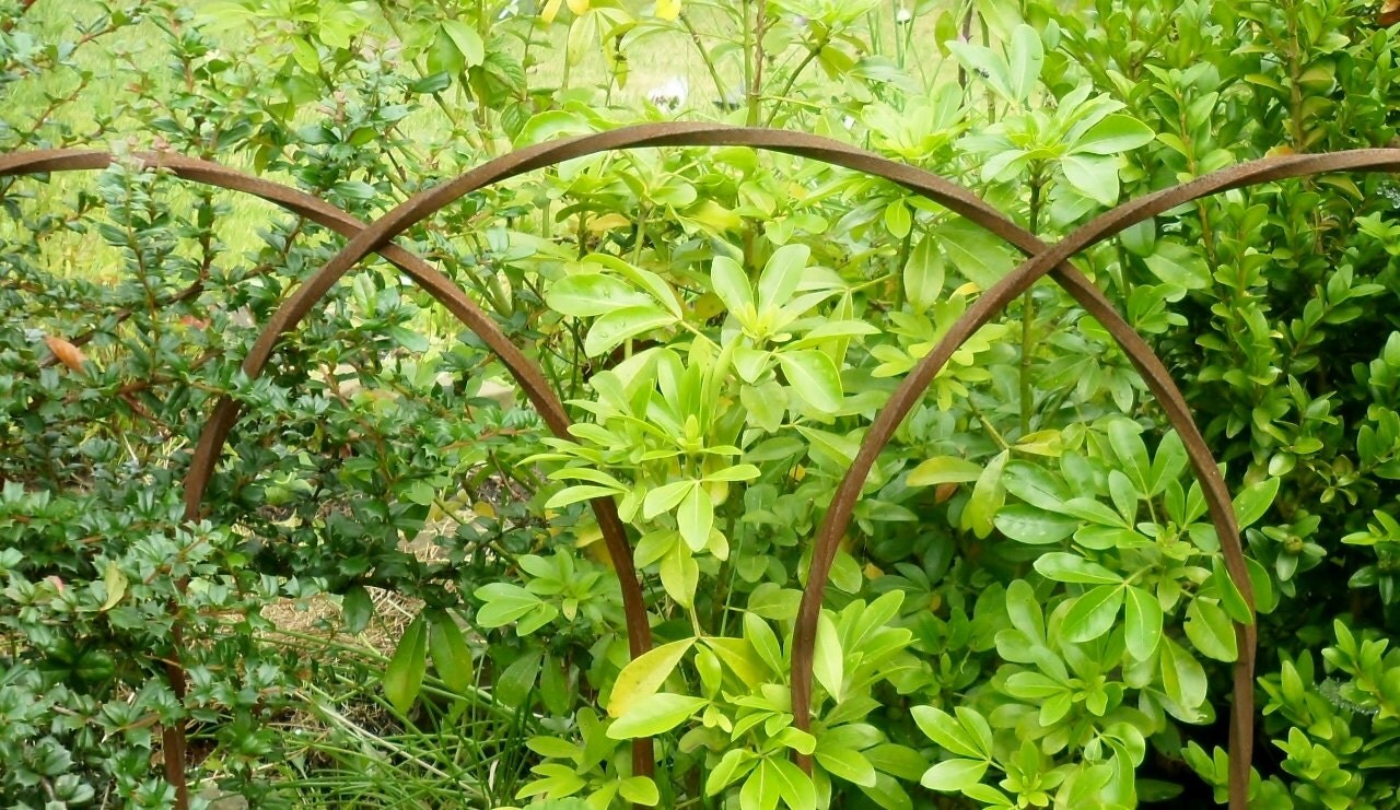 Mayfield Garden Edging Hoops Pack of five