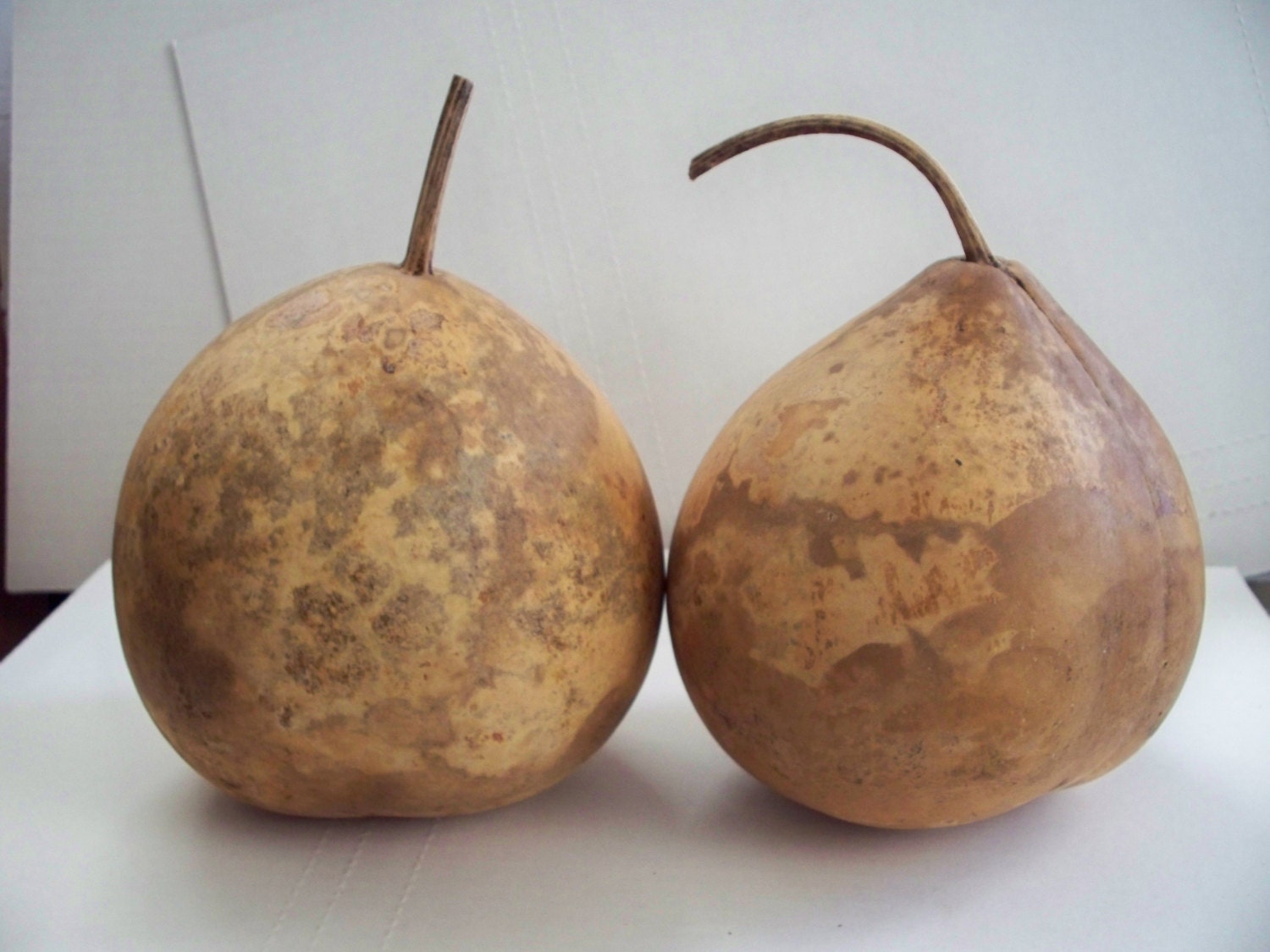 Two Dried Bushel gourds for crafts