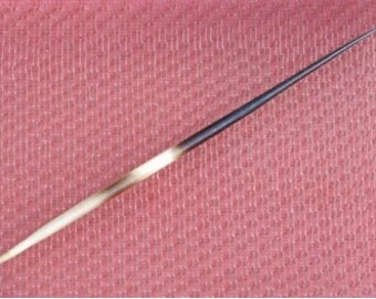 Porcupine Quill - Drum Carding Tool