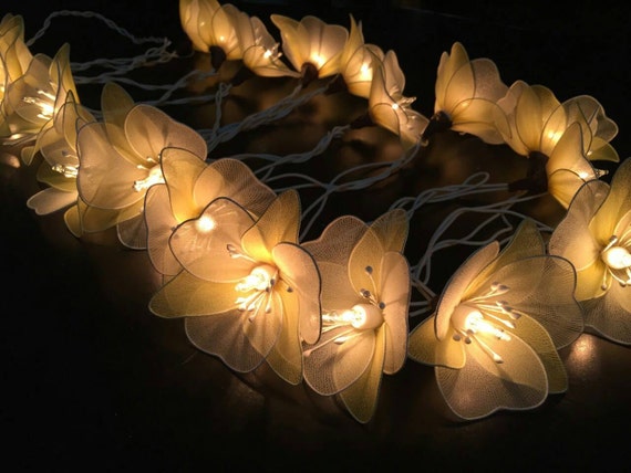 Fairy Lights-20 Yellow-White Flower Fairy by FloraBlossanova