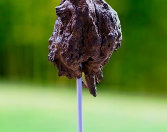 Sculpture "Minotaur" in knot of wood floated on base