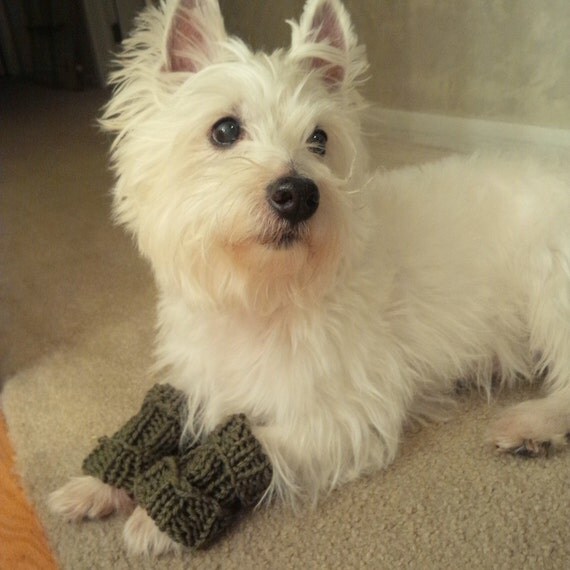 Dog Leg Warmers Leggings for Dogs by SparklyTwig on Etsy