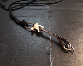 bird claw and vertebra