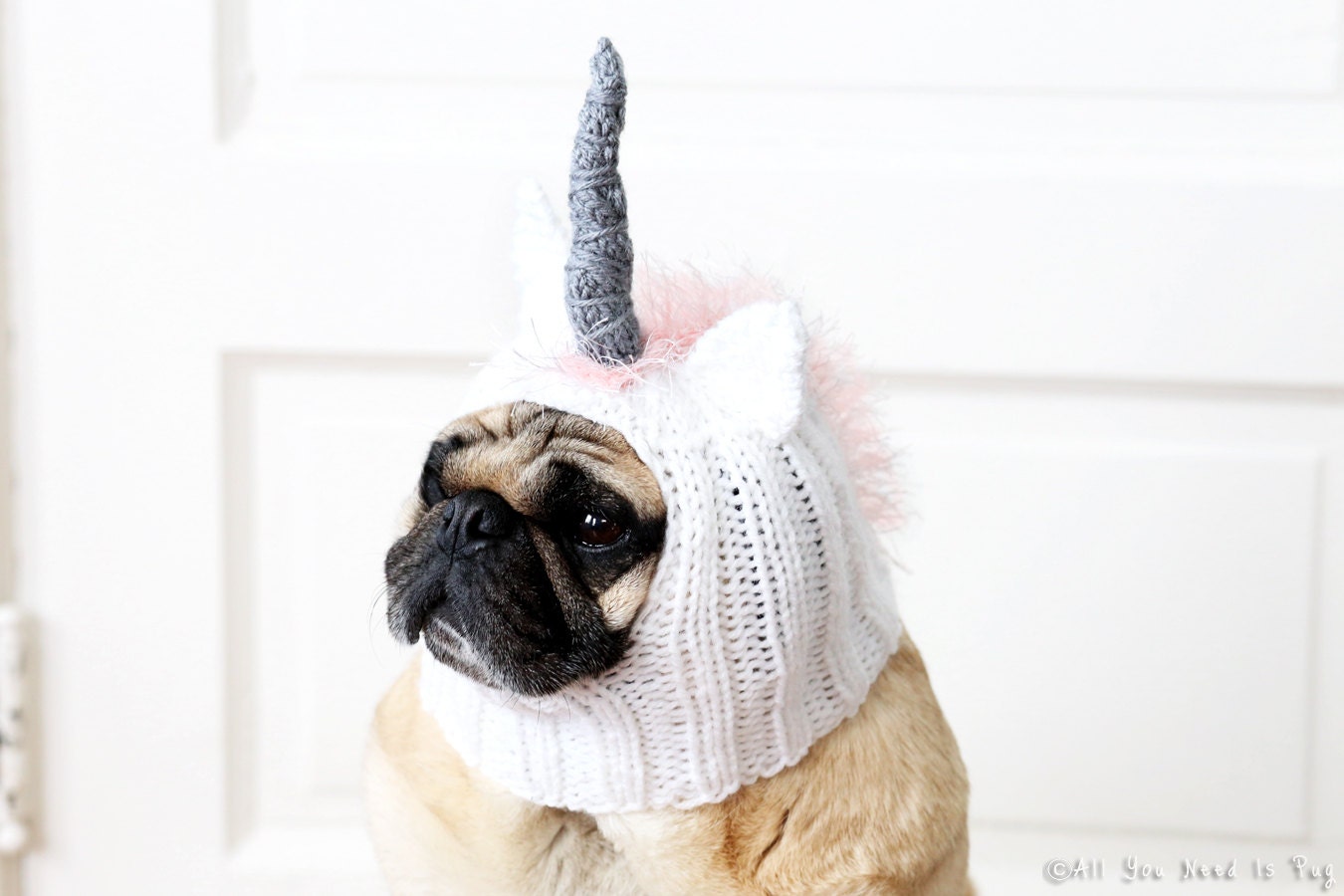 Image Result For French Bulldog Unicorn