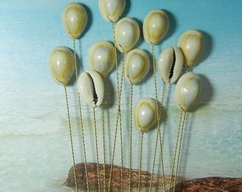 Seashell Stems - Money Cowries - 12 Natural Cowrie Shells for Bouquets