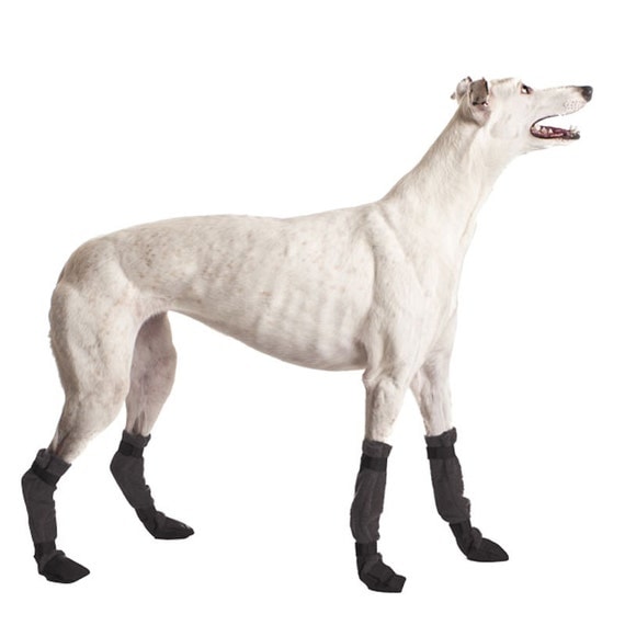 Shoes, shoes for Boots Dog Booties, Dog greyhound dogs Dog GREYHOUND