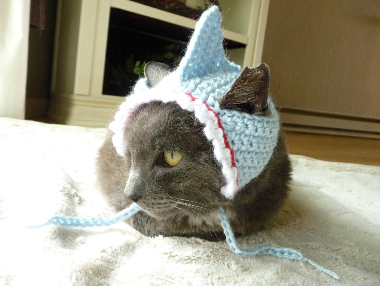 Shark  Costume  for Cats  and Dogs Shark  Hat for Cats  and Dogs