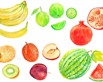 Digital watercolour fruits - banana,water melon,lime,plum,kiwi fruit,pomegranate clipart printable instant download scrapbook (set2)