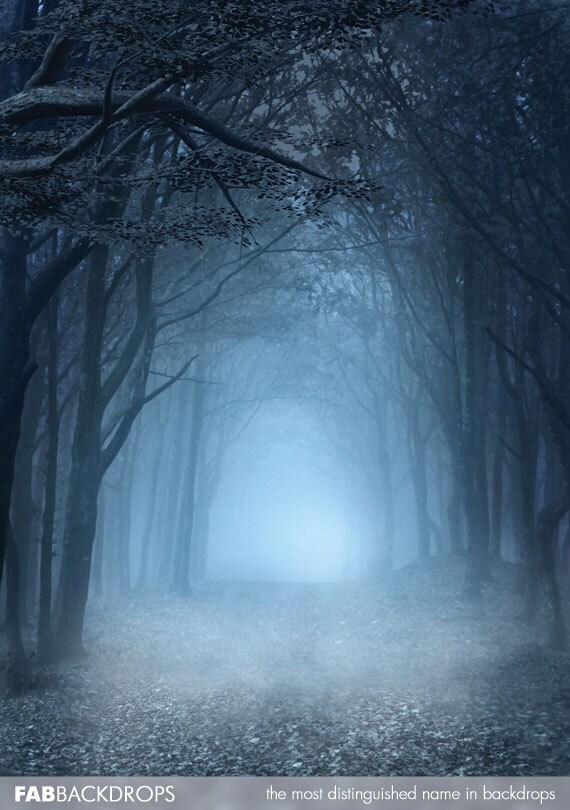 Dark Forest Pathway Scenic Backdrop FD5093