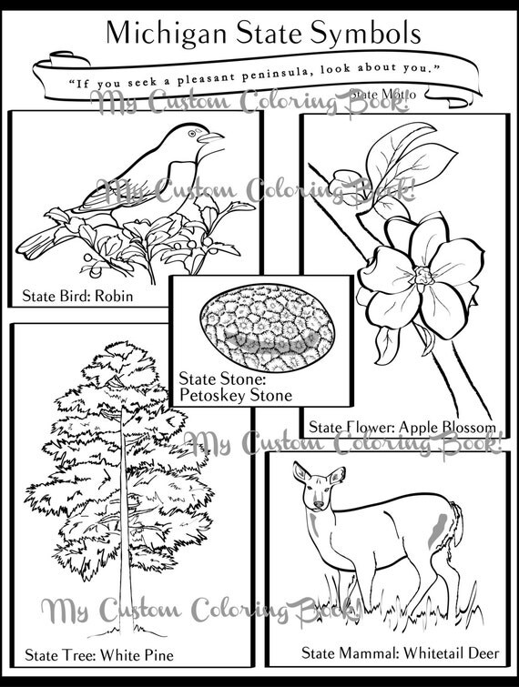 illinois state symbols coloring pages - photo #5