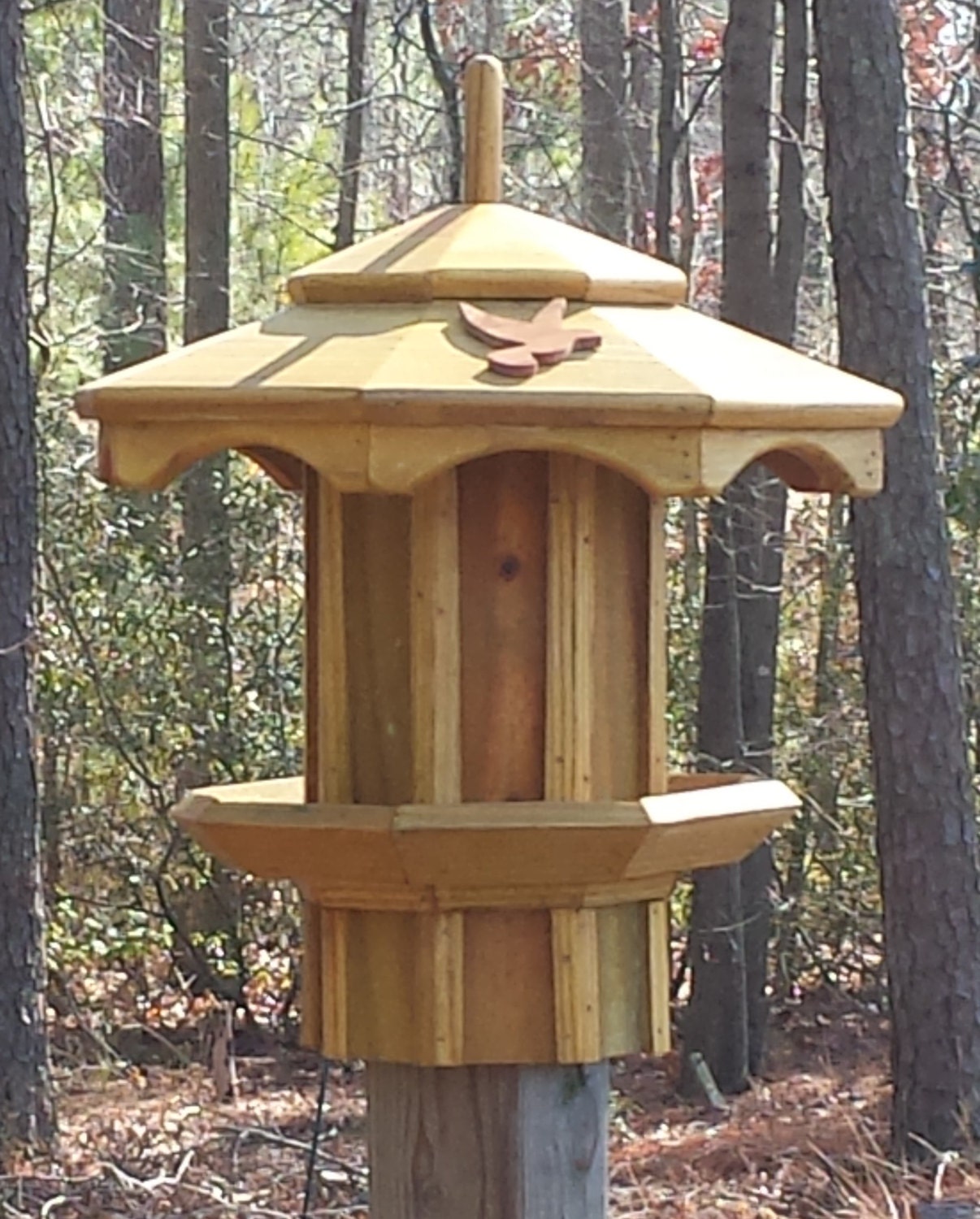 Item Details Shipping & Policies