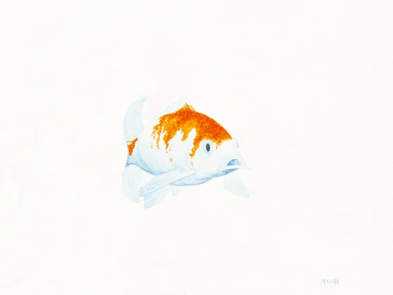 Items similar to Orange and White Koi Fish- Watercolor Art Print on Etsy