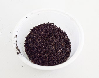 Worm Castings - Hermit Crab Food - Organic - Hermit Crab - Pet Food