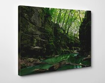 Popular items for jungle wall art on Etsy