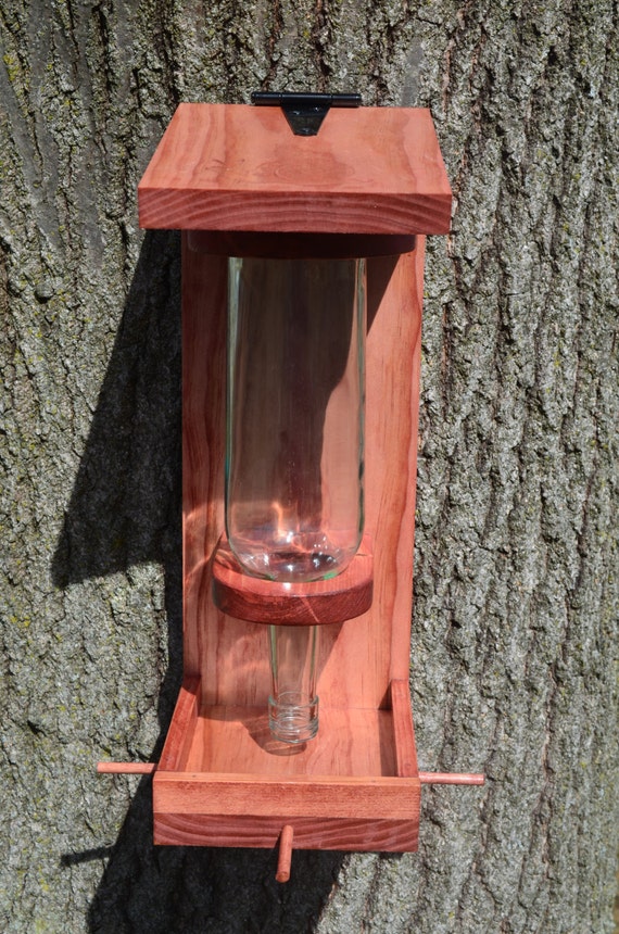 Wine Bottle Bird Feeder