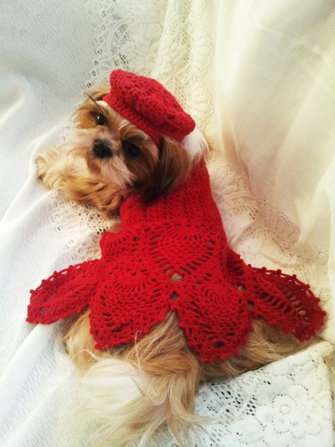 Printable Free Crochet Dog Dress Patterns