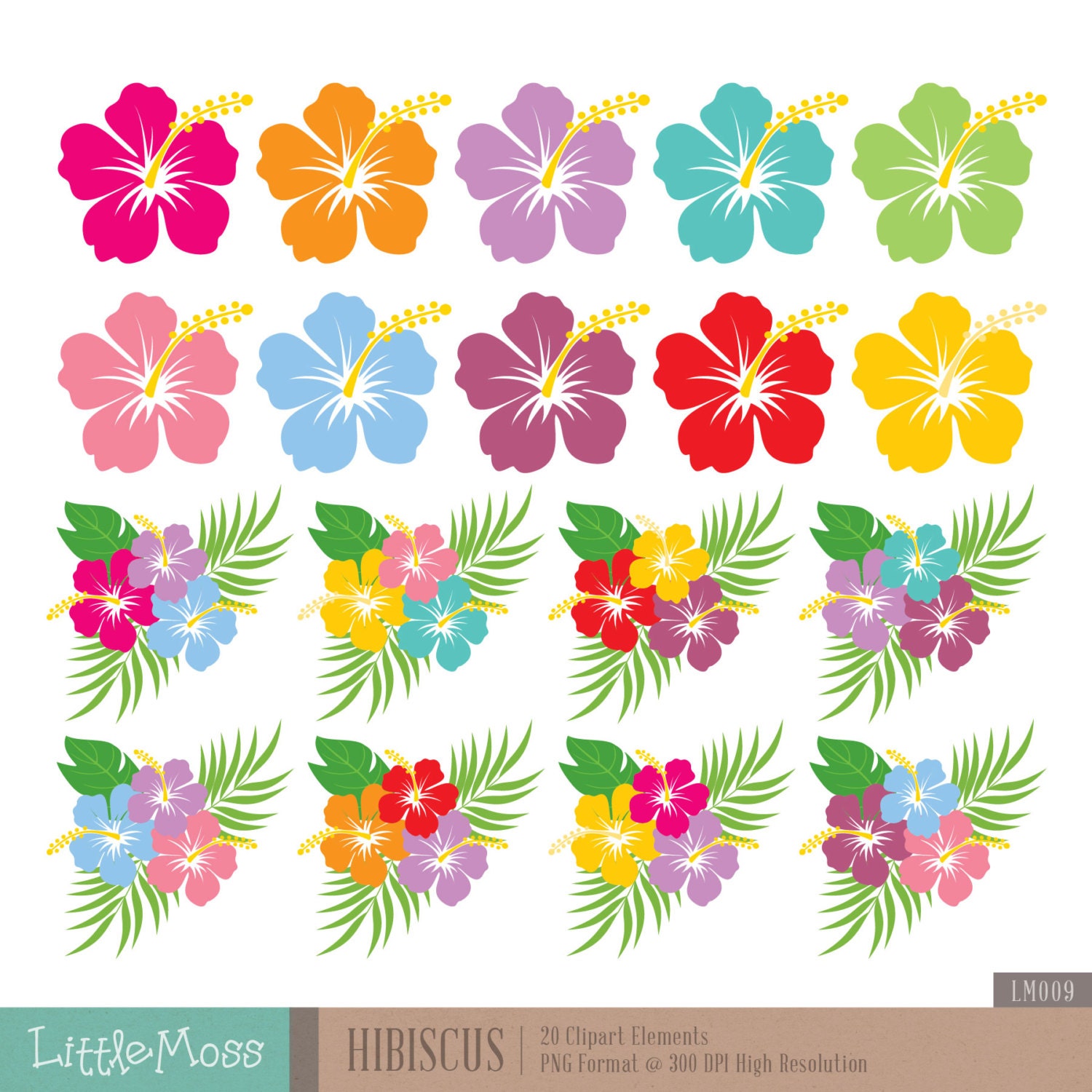 Hibiscus Digital Clipart Hawaiian Flower Clipart