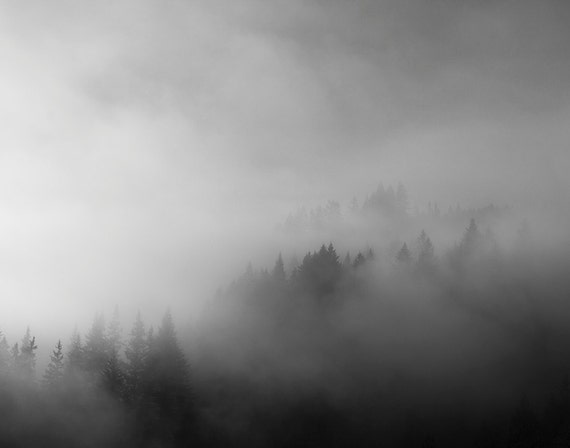 Black and White Photography Print Fog and Mountain Trees