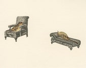 Bird therapy.  Original mixed media collage by Vivienne Strauss.