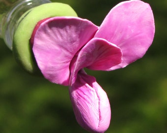 HUMMINGBIRD FEEDER -- Redbud on Clear Glass Bottle with Swelled Neck