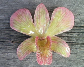 Free Shipping REAL Natural Pink and Soft Green ORCHID in Poly Resin Pin and Pendant
