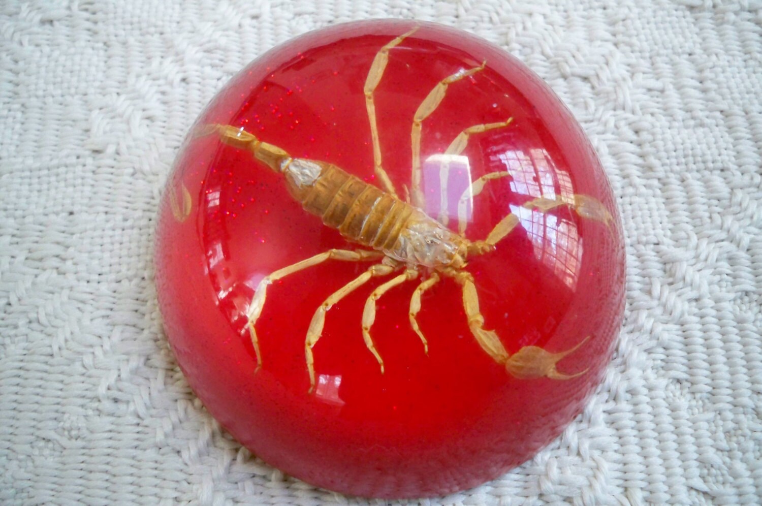Vintage Collectible Paperweight Scorpion Paperweight USA Maack