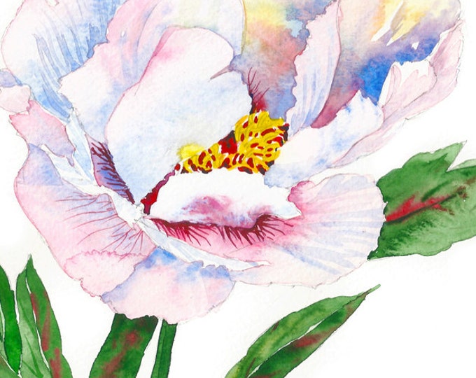 Peony. White and pink, Watercolor Original, flower, floral, art, spring, botanical, bouquet, gift for her, watercolor,