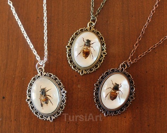 Real Honey Bee pendant Real bee necklace bee taxidermy real bug real insect jewelry real bee in resin custom made to order silver brass