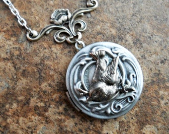 Silver Bird Locket, Bird Locket, Victorian Locket, Silver Bird, Locket Necklace, Locket, Antiqued Silver Locket, Antiqued Bird Locket
