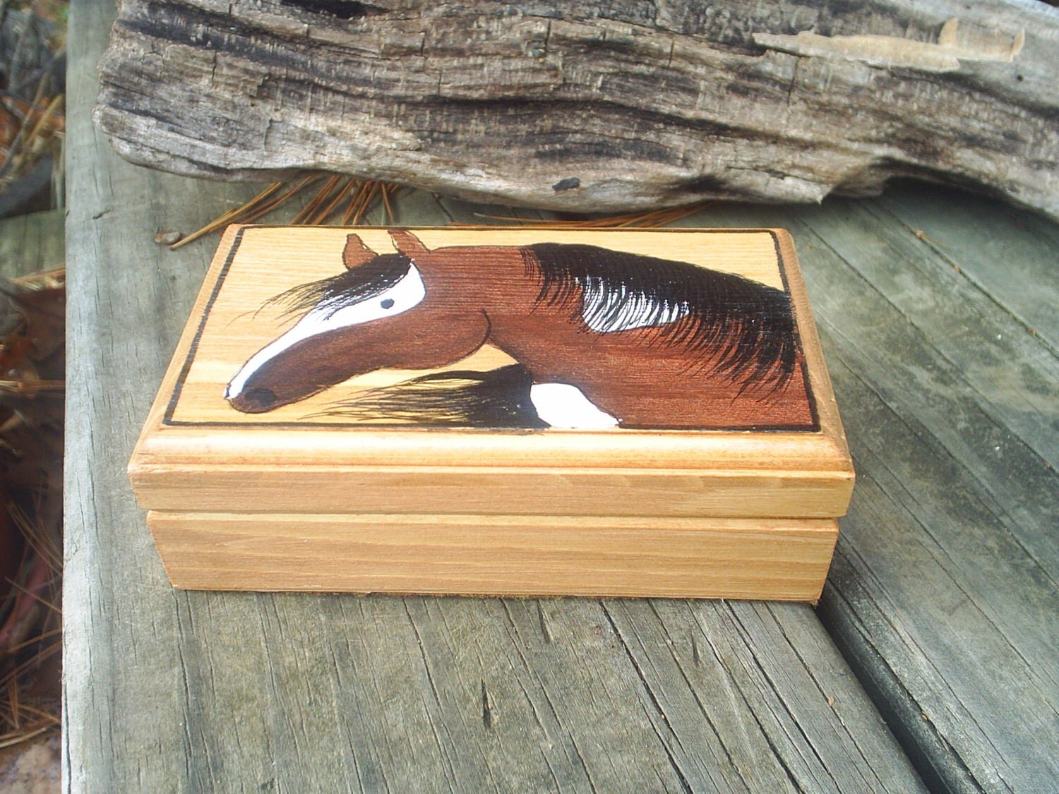 handpainted horse box