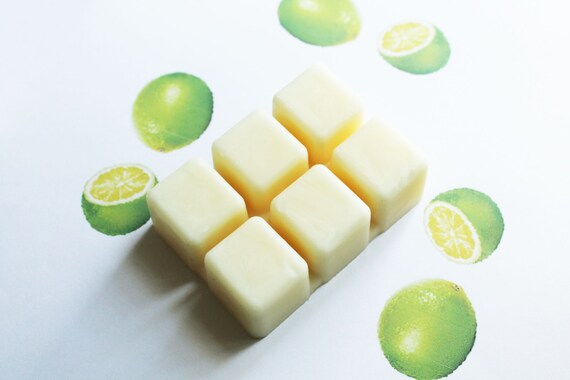 wax vegan candles for Wax  Soy  Tarts Soy Vegan Melts Natural  Wax Candles Soy   Soy