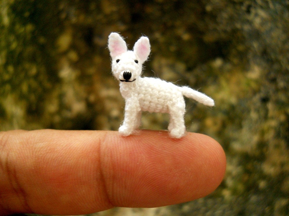 best toys for bull terrier puppies