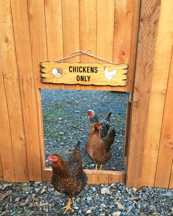 CHICKEN SIGN, Chicken Coop, Custom Chicken Sign, Rustic Hen House Sign